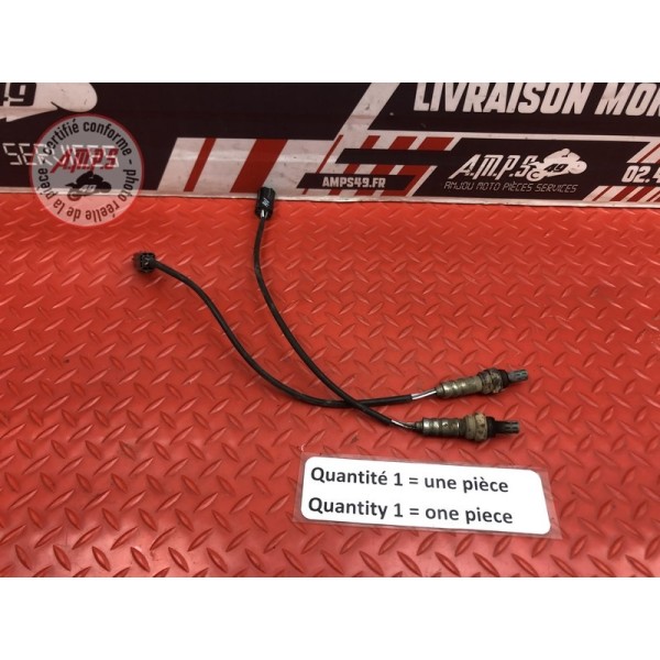 Sonde lambda Ducati HM 796 Hypermotard 2010 à 2012