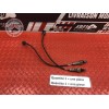 Sonde lambda Ducati HM 796 Hypermotard 2010 à 2012
