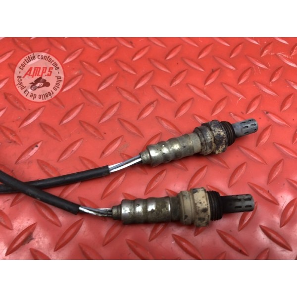 Sonde lambda Ducati HM 796 Hypermotard 2010 à 2012
