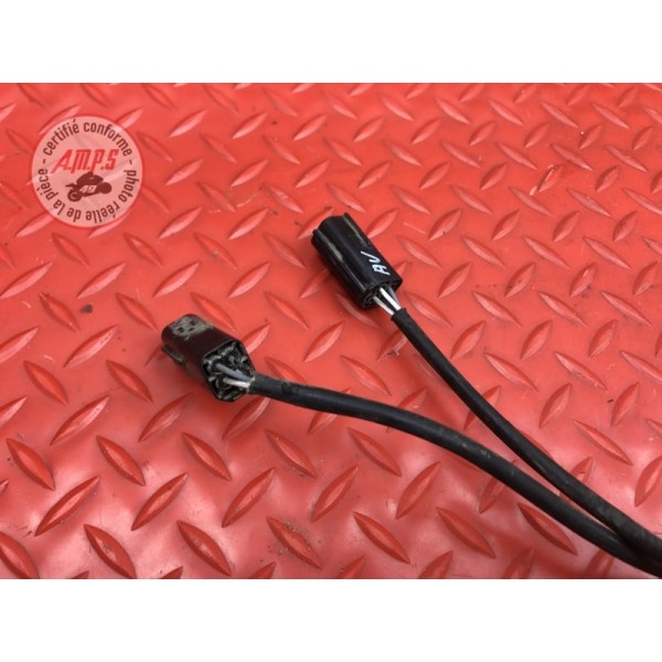Sonde lambda Ducati HM 796 Hypermotard 2010 à 2012