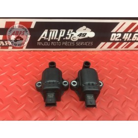 Lot de 2 Bobines d'allumage Ducati 899 Panigale 2014 à 2015