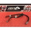 Cable de batterie Ducati 899 Panigale 2014 à 2015