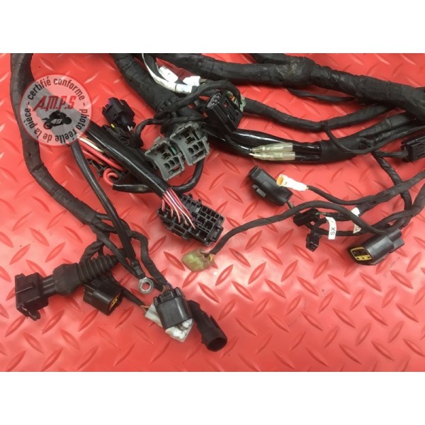 Faisceau électrique principale Ducati 899 Panigale 2014 à 2015