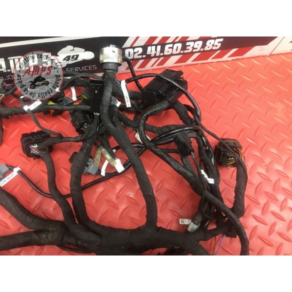 Faisceau électrique principale Ducati 899 Panigale 2014 à 2015