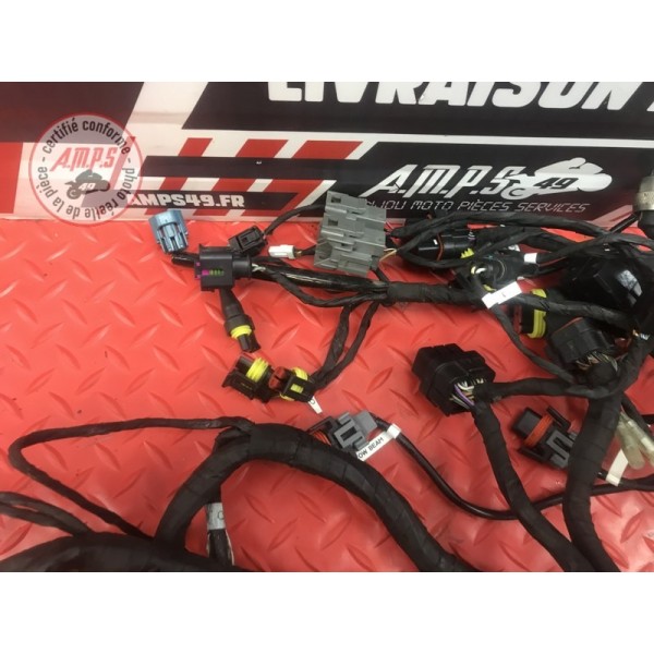 Faisceau électrique principale Ducati 899 Panigale 2014 à 2015