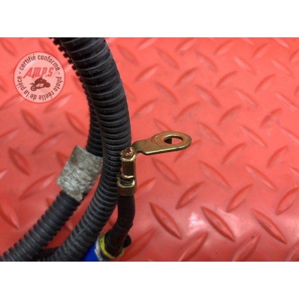 Cable de masse démarreur Suzuki DL 1000 V-STROM 2017 à 2019 
