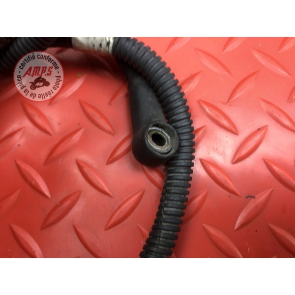 Cable de masse démarreur Suzuki DL 1000 V-STROM 2017 à 2019 