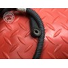 Cable de masse démarreur Suzuki DL 1000 V-STROM 2017 à 2019 