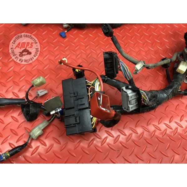 Faisceau électrique principale Suzuki DL 1000 V-STROM 2017 à 2019 