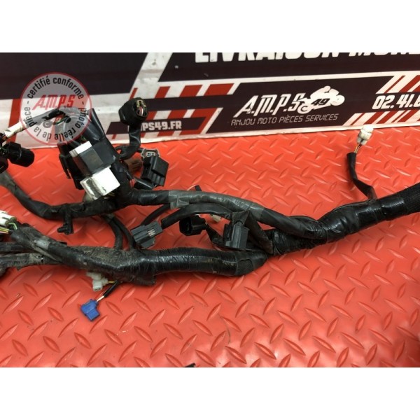 Faisceau électrique principale Suzuki DL 1000 V-STROM 2017 à 2019 