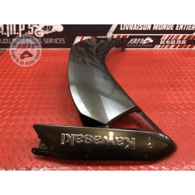 Ecope de carénage gauche