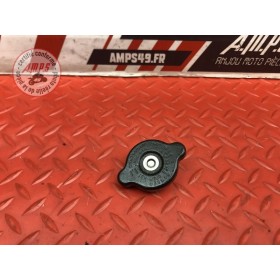 Bouchon de radiateur Kawasaki 1400 GTR 2010 à 2014