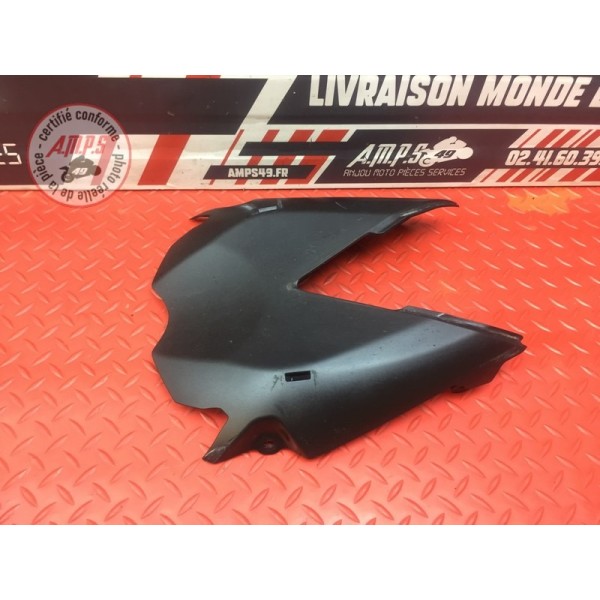 Passage de roue Triumph Street Triple 675 R 2013 à 2016