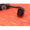 Boitier immobilisateur Triumph Street Triple 675 R 2013 à 2016
