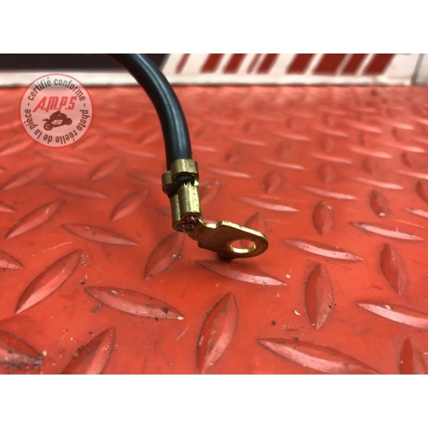 Cable de batterie Triumph Street Triple 675 R 2013 à 2016