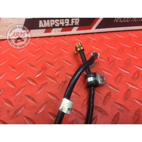 Cable de masse Triumph Street Triple 675 R 2013 à 2016