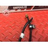 Cable de masse Triumph Street Triple 675 R 2013 à 2016