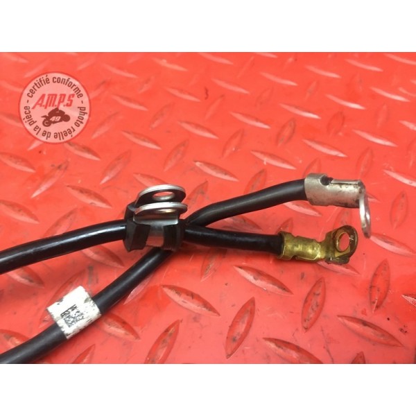 Cable de masse Triumph Street Triple 675 R 2013 à 2016