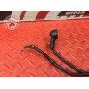 Cable de masse Triumph Street Triple 675 R 2013 à 2016