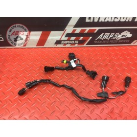 Faisceau secondaire Triumph Street Triple 675 R 2013 à 2016