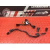 Faisceau secondaire Triumph Street Triple 675 R 2013 à 2016
