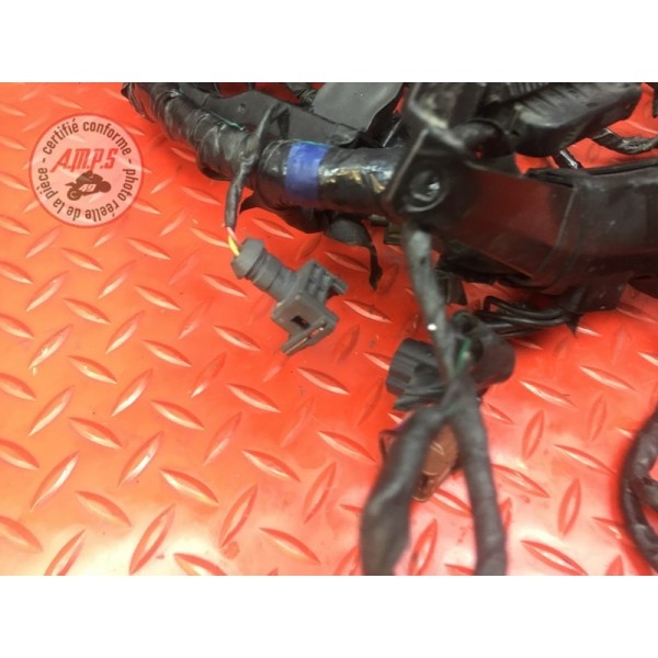 Faisceau électrique principale Triumph Street Triple 675 R 2013 à 2016