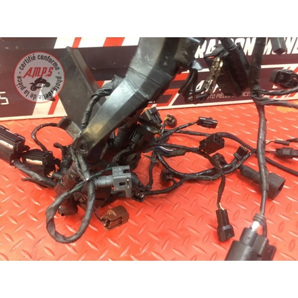 Faisceau électrique principale Triumph Street Triple 675 R 2013 à 2016