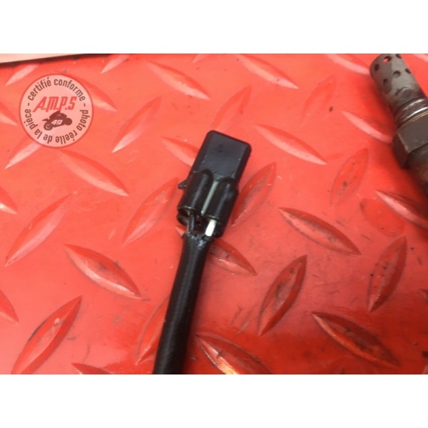 Sonde lambda Triumph Street Triple 675 R 2013 à 2016