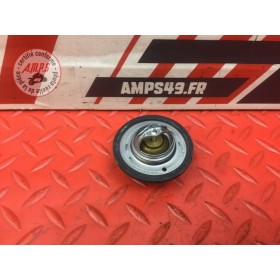 Calorstat Triumph Street Triple 675 R 2013 à 2016