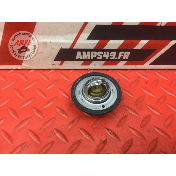 Calorstat Triumph Street Triple 675 R 2013 à 2016