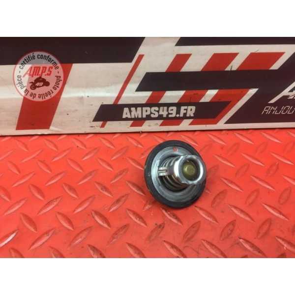 Calorstat Triumph Street Triple 675 R 2013 à 2016