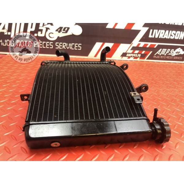 Radiateur d'eau Triumph Street Triple 675 R 2013 à 2016