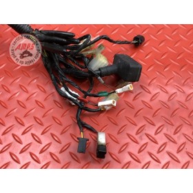 Faisceau électrique principale KTM 690 DUKE 4 2012 à 2015
