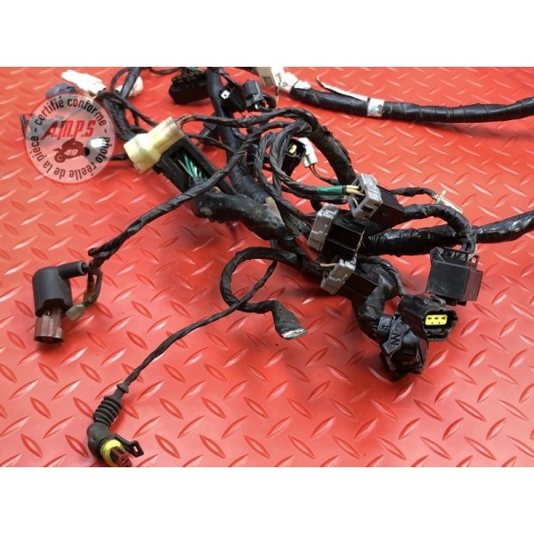 Faisceau électrique principale KTM 690 DUKE 4 2012 à 2015