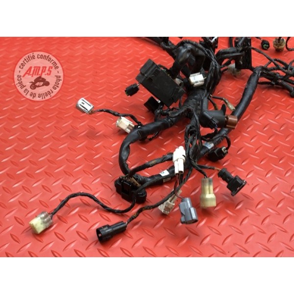 Faisceau électrique principale KTM 690 DUKE 4 2012 à 2015