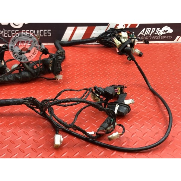 Faisceau électrique principale KTM 690 DUKE 4 2012 à 2015
