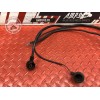 Cable de masse Suzuki DL 650 V-STROM 2012 à 2016