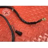 Cable de masse Suzuki DL 650 V-STROM 2012 à 2016