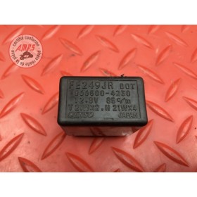 Centrale clignotante 