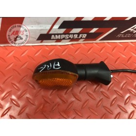 Clignotant arrière gauche 