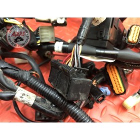 Faisceau électrique principale 