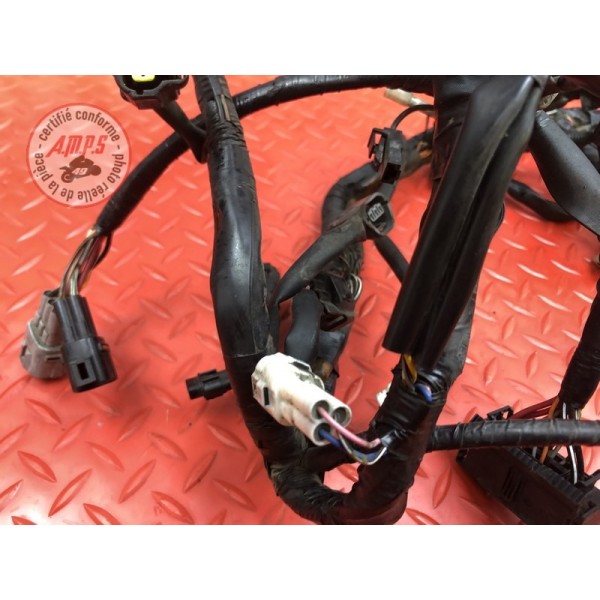 Faisceau électrique principale Suzuki DL 650 V-STROM 2012 à 2016