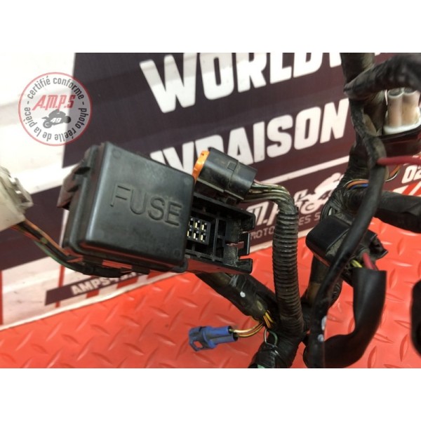 Faisceau électrique principale Suzuki DL 650 V-STROM 2012 à 2016