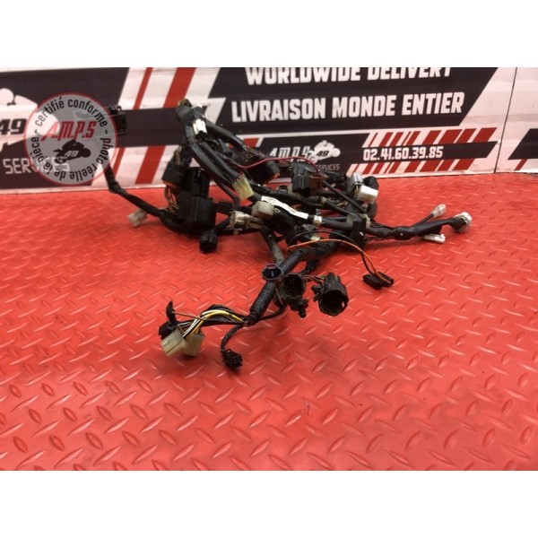 Faisceau électrique principale Suzuki DL 650 V-STROM 2012 à 2016