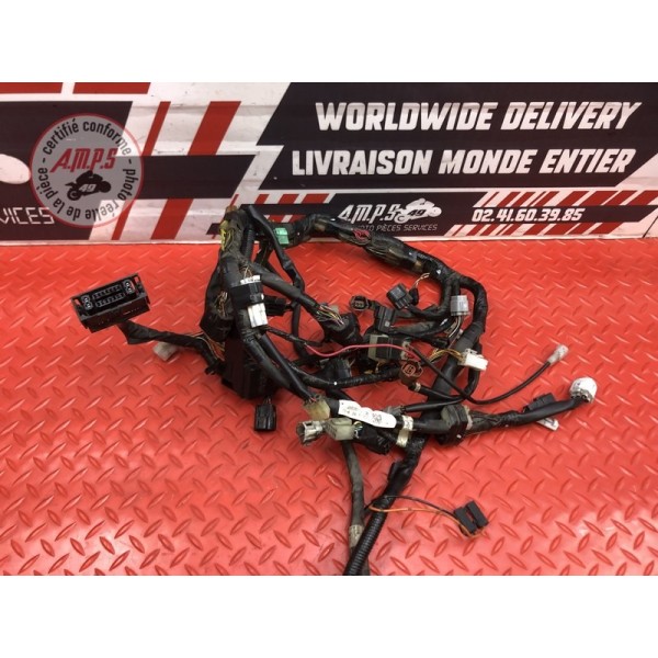 Faisceau électrique principale Suzuki DL 650 V-STROM 2012 à 2016