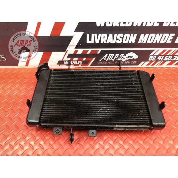 Radiateur d'eau Suzuki DL 650 V-STROM 2012 à 2016
