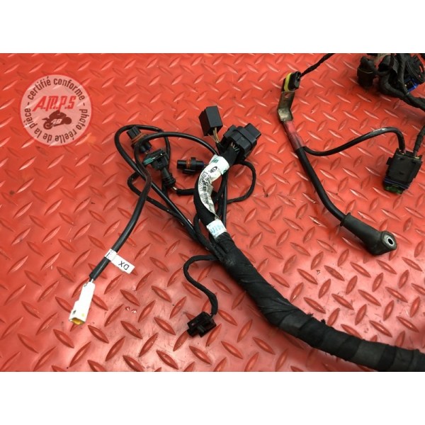 Faisceau électrique principale Ducati 848 SBK 2008 à 2013