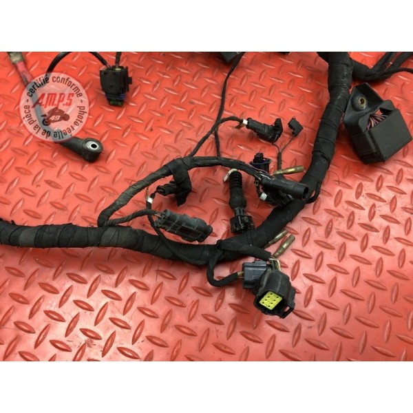 Faisceau électrique principale Ducati 848 SBK 2008 à 2013