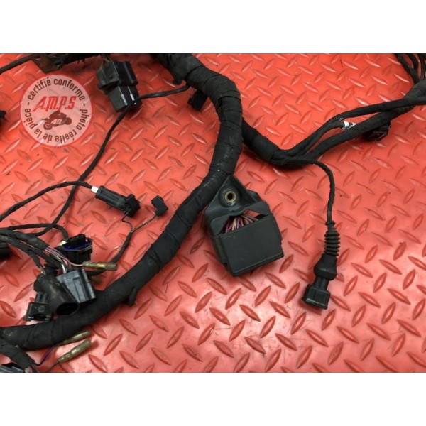 Faisceau électrique principale Ducati 848 SBK 2008 à 2013