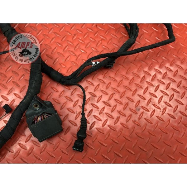 Faisceau électrique principale Ducati 848 SBK 2008 à 2013